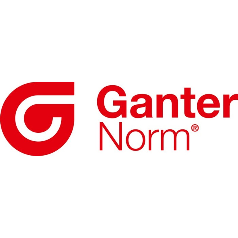 Imn de sujecin Ganter GN 50,3 (4601002855) d1 32  0,1 mm neodimio, hierro, boro ND